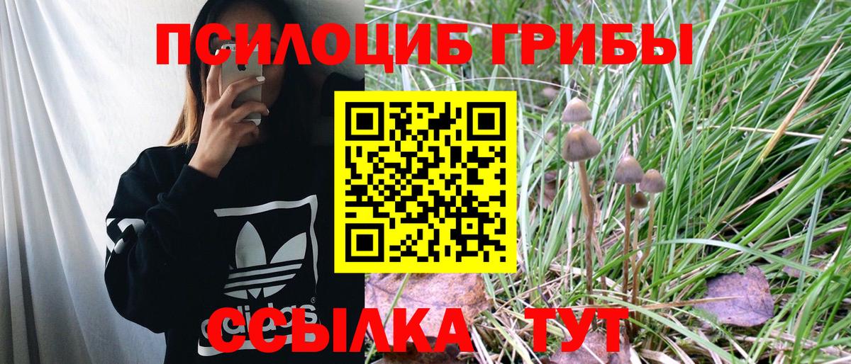 Галлюциногенные грибы MAGIC MUSHROOMS  Вход с VPN  Удомля  Псилоцибиновые грибы MAGIC MUSHROOMS 