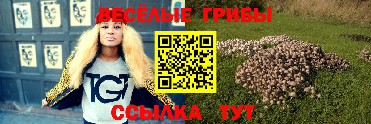 Галлюциногенные грибы Psilocybine cubensis Удомля