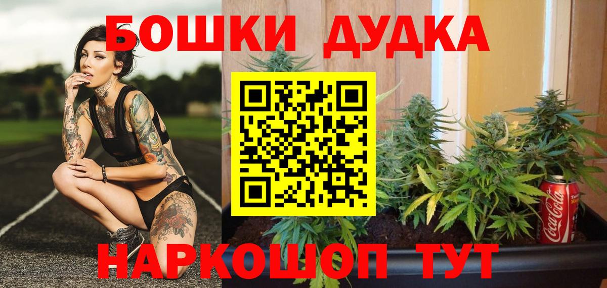 Бошки марихуана планчик  Вход с VPN  Бошки марихуана OG Kush  Удомля  Конопля конопля 